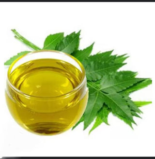 Neem Seed Extract Oil