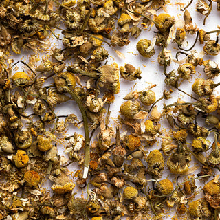 Chamomile Bud