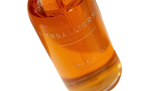 Rosehip  Seed Carrier Oil-Organic*