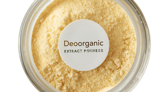 Pineapple  Fruit ExtractPowder*