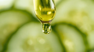Cucumber Seed Oil - Virgin