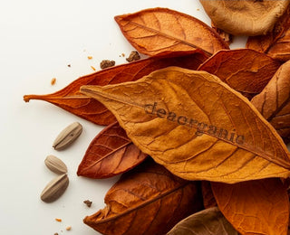 Tobacco and Bay Leaf Fragrance Oil**