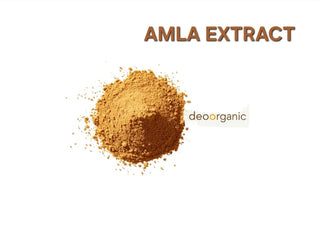 AMLA  POWDER