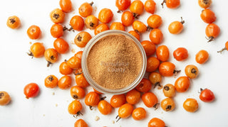 Sea Buckthorn (15:1) Botanical Extract Powder